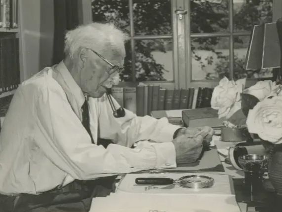 A picture of Carl Jung being disappointed at the world