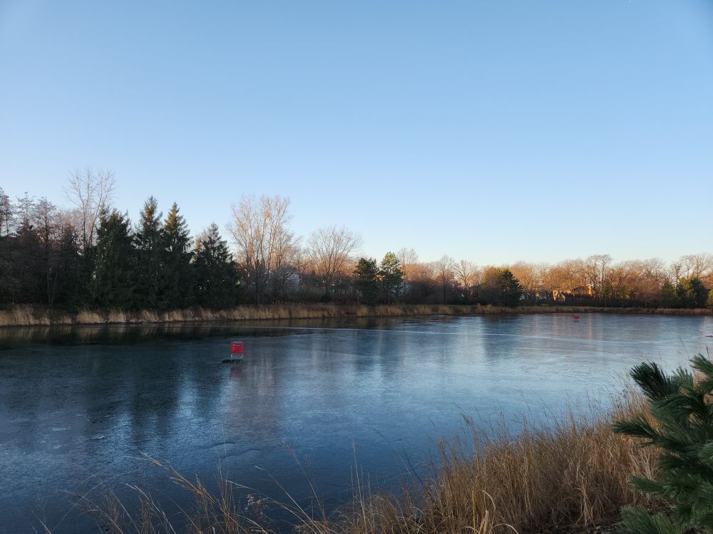 photo of a pond, lined by trees along the far side. The sky above is clear blue. The pond is a fozen just enough that a target shopping cart is sitting on the ice, in the middle of the pond at one end. Another shopping cart can just barely be seen in the middle of the pond at its other end.