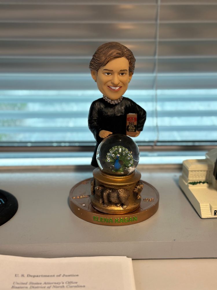 Elena Kagan bobblehead from The Green Bag