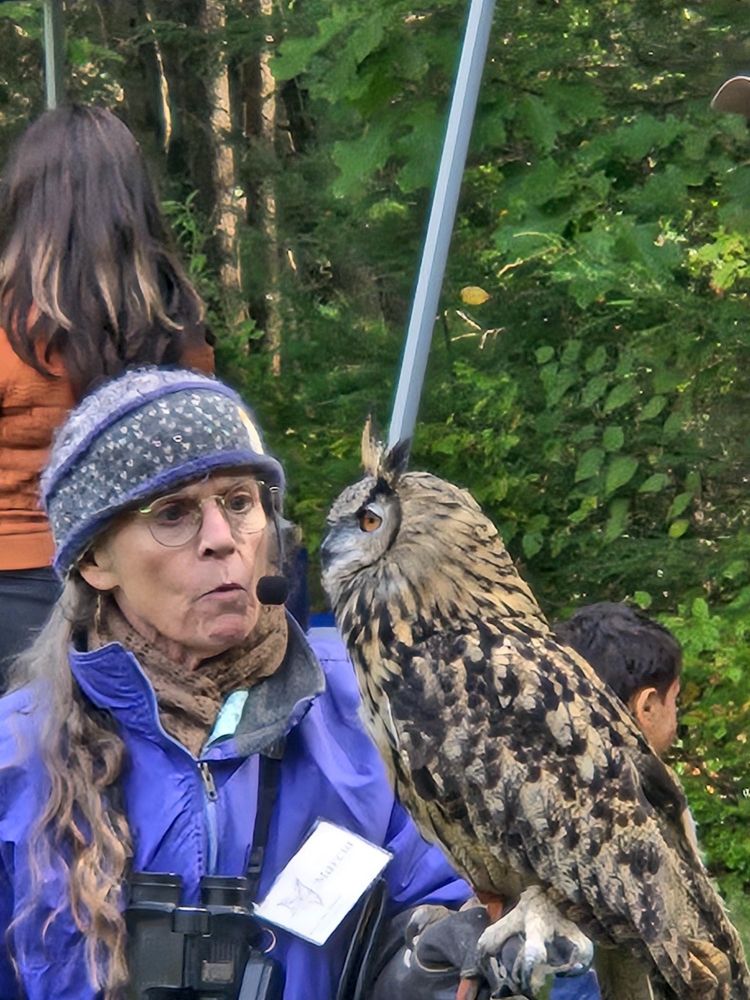 Person holding European Eagle Owl
