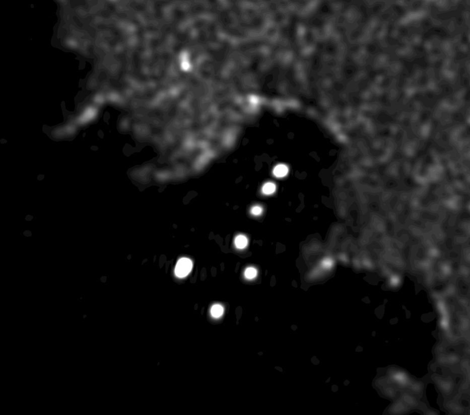 Synthetic Aperture Radar image from Sentinel 1 of Gribovaya Bay in Novaya Zemlya. There are seven bright white spots visible in the bay - there are actually eight vessels, but two are close enough that they merge into one spot.
