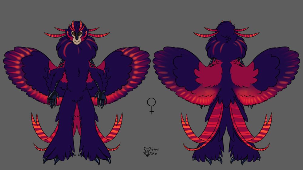 Female harpy- generally bigger than the males, with a longer neck, and more vibrant colors. Very fluffy neck plumage, more feathers on arms, and more/longer display feathers. Most are a dark indigo with bright accent colors on their display feathers, wing flight feathers, and shoulders.