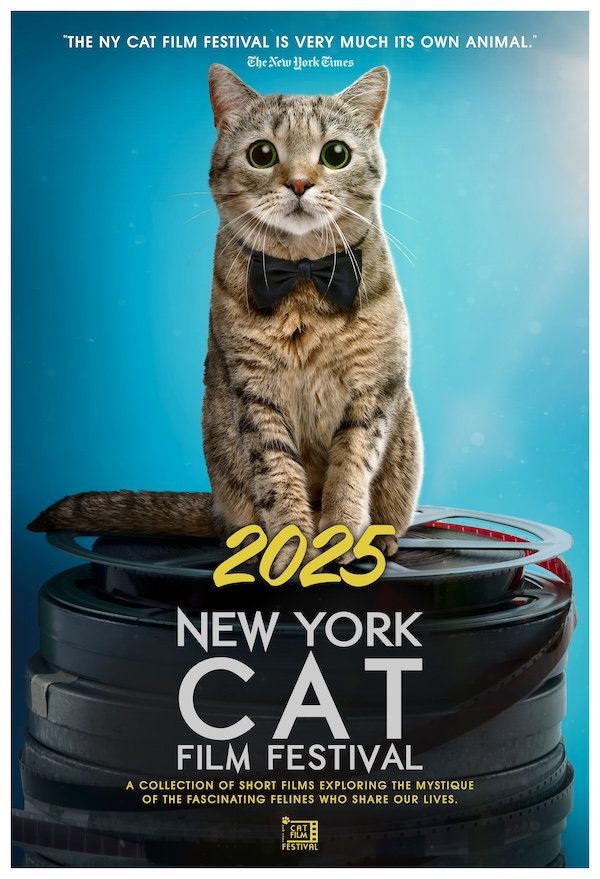 THE 2025 NEW YORK CAT FILM FEST