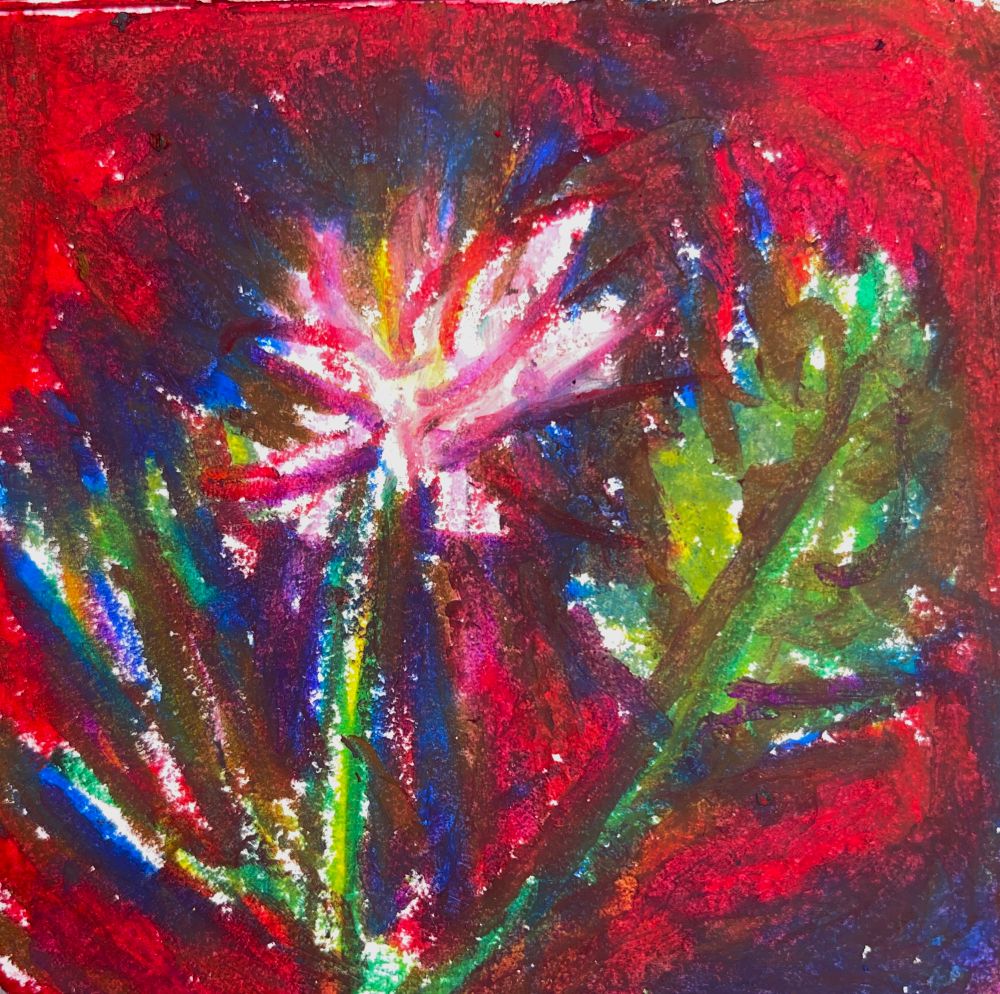 A red flower