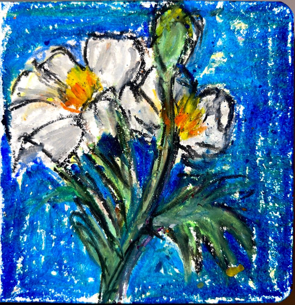A white flower