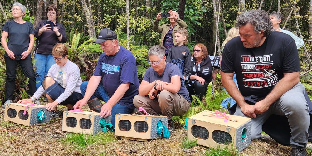 Four Members from manawhenua about to release birds from their boxes