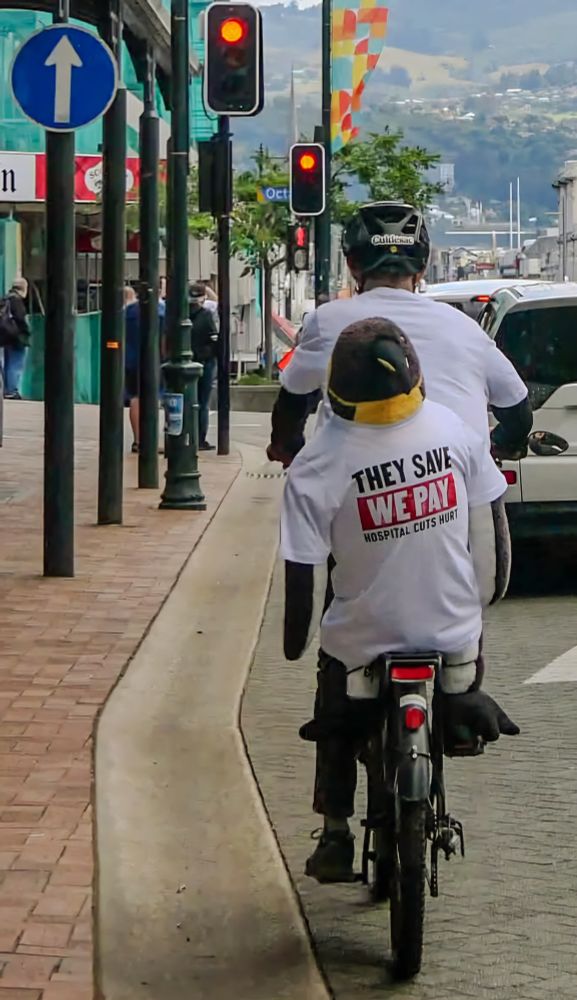 Dunedin City Councillor Steve Walker cycling in central Dunedin with 'Giles the Penguin' attached to the back of his bicycle.