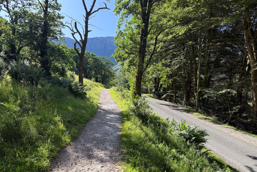 orbital path above minor road
