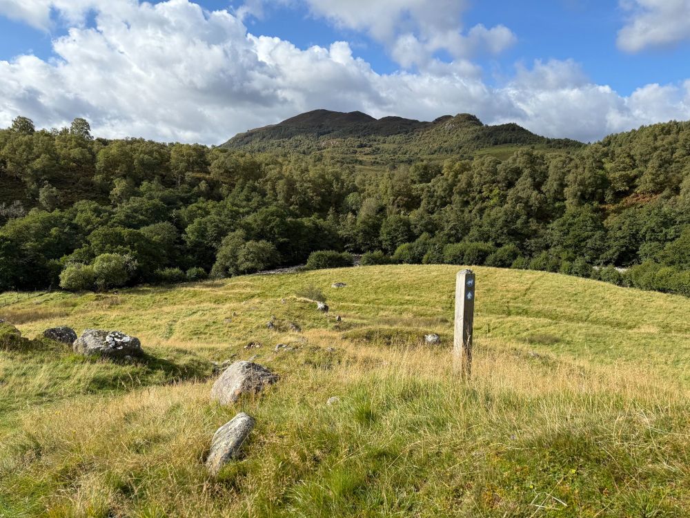 Waymarker post in grassy pastures, with woodland and hills beyond.