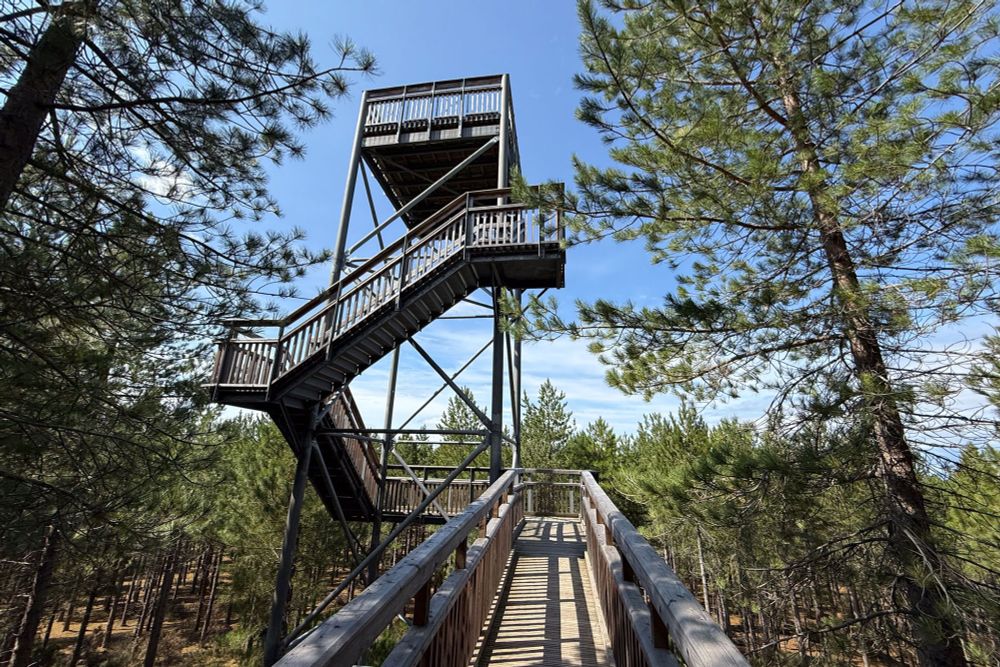 Forest tower