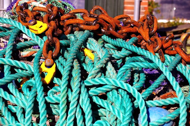 Rostige Kette mit gelben Schenkeln auf grünem Tampen
