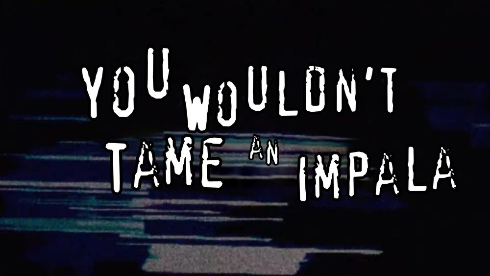The “you wouldn’t steal a car” anti-piracy meme but it says “you wouldn’t tame an impala”