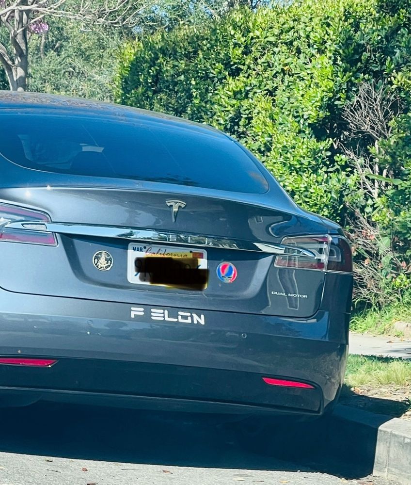 This is a photo of a Tesla vehicle that has a Grateful Dead sticker. It also has a sticker that says F ELON, which is a pun on the name of Elon Musk and the word felon. 