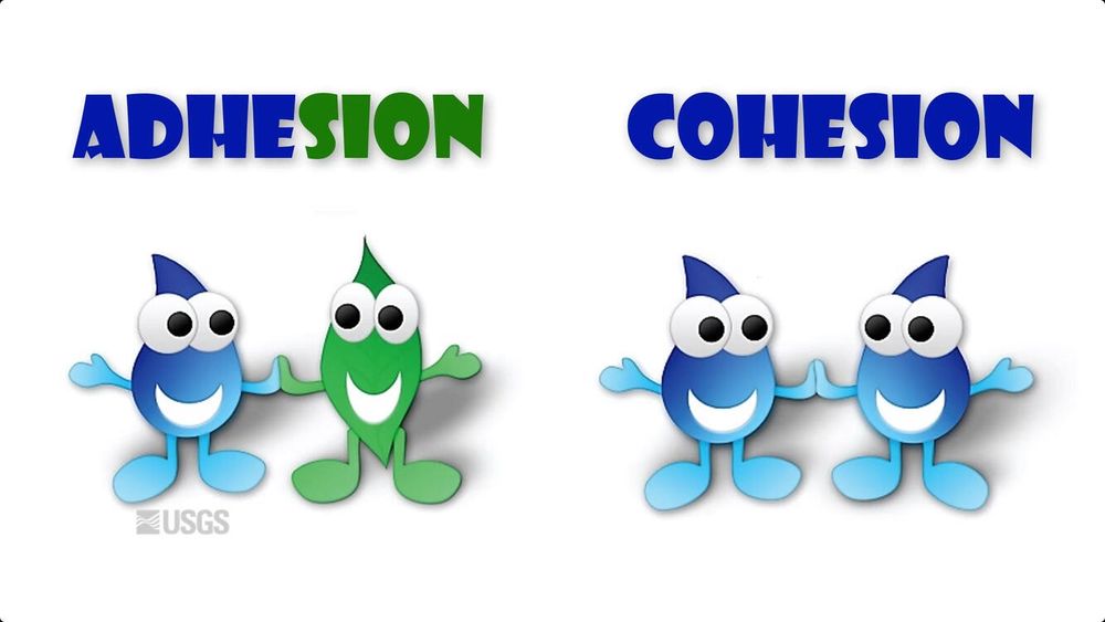 visual of the difference between cohesion and adhesion (the idea is that all southpark people on twitter attach together again after leaving twitter)