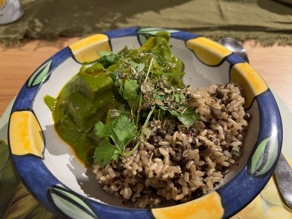 tofu saag curry with brown rice quinoa and lentils, garnished with coriander and kasoori methi 