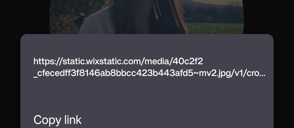 Screenshot of the URL to an image on the website. Notice it's a "wixstatic" domain, which is how Wix.com serves website content to enable tracking.