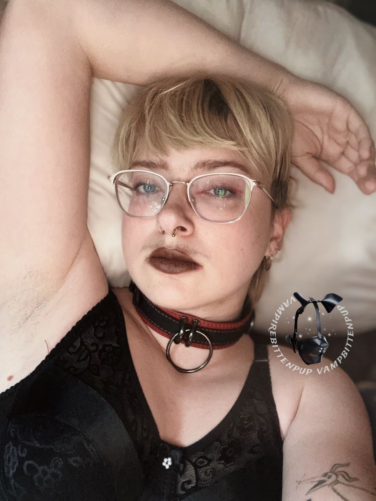 selfie image of bingo bitten laying back on his bed against a white pillow. he has short blond hair, gold frame glasses and matching facial and ear jewelry, tattoos lining his arm, dark markers, and is wearing a black satin and lace bra and red and black thick leather collar. one arm reaching around his head, relaxed but posed