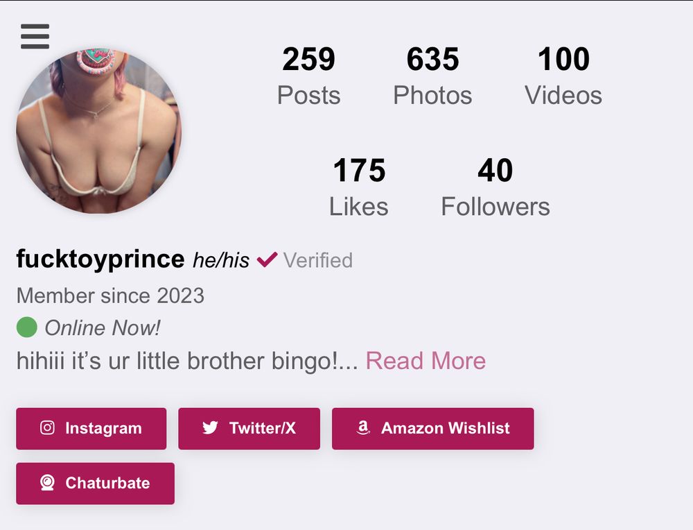 screenshot of fucktoyprince’s justfor.fans profile, with statistics of 259 posts, 635 photos, 100 videos, 175 likes, and 40 followers. he is online now, a member since 2023, and his bio starts with “hihii it’s ur little brother bingo!…”, continued with a read more button. below are links to his instagram, twitter, amazon wishlist, and chaturbate 