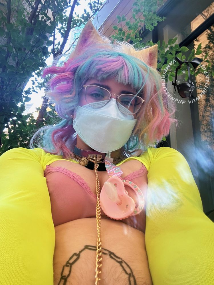 selfie image of bingo bitten from tummy level up. he’s very colorful, and half nude. tall yellow and pink kitty ears sit on top of pastel rainbow jellyfish cut hair, his eye makeup matching. a gold chain leash and a sparkly pink and blue pacifier are clipped to a pastel rainbow and gold collar, and he’s wearing a neon yellow shoulder cover top on top of a sheer pink bra, nipples poking through. part of black chain mace tattoo covers his furry tummy, and in the background are trees covering buildings