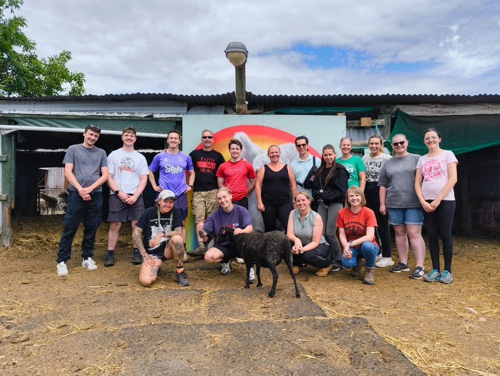 A work party from Jaguar Landrover stand in a yard at FARS sanctuary, with Amos Sheep for company