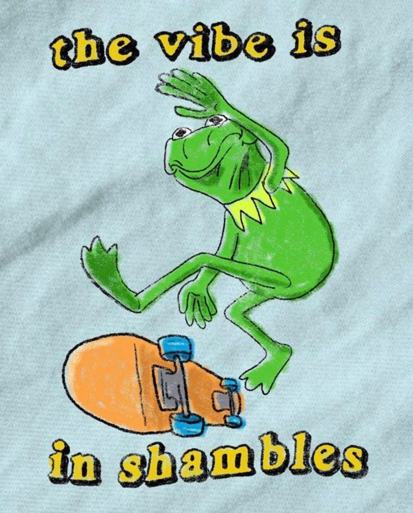 A T-shirt in which a ratchet ass looking Kermit the frog is doing a passable kick flip on a popsicle skateboard with the text “the vibe is in shambles”