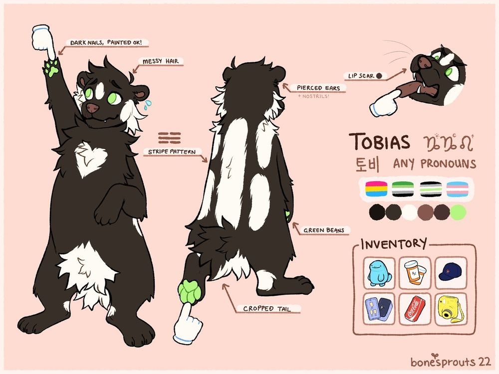 reference sheet of a spotted skunk character named Tobias. they have a heart-shaped fluff on their chest, a cropped tail, and bright green pawpads that match their eyes.