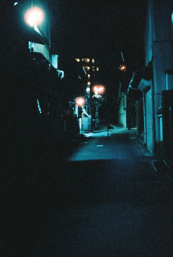 Silhouette of deer walking up sparsely lit street at night.