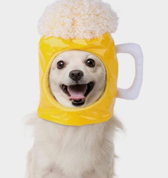 Happy dog wearing novelty beer head wear