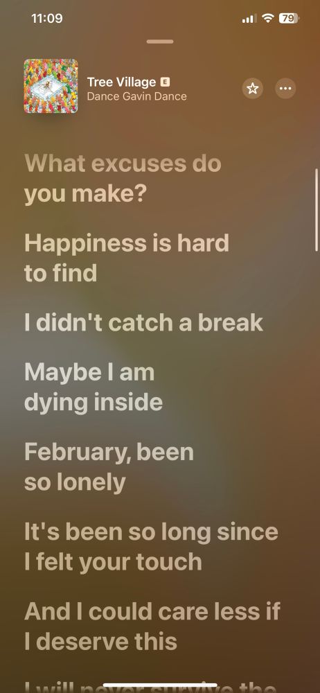 Screenshot of lyrics (Tree Village by Dance Gavin Dance)

What excuses do you make?
Happiness is hard to find
I didn’t catch a break
Maybe I am dying inside
February, been so lonely
It’s been so long since I felt your touch
And I could care less if I deserve this
I will never survive 
