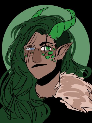 An Emerald Dragonborn (flavored as a Half-Dragon) Monk of the Ascendant Dragon. Her eye is silver from the Boon of the Metallic Dragon, and she had three sets of wings (Metal, Gem, and Chromatic). Her scales are green and ran across her face, legs and arms. Ending at the knee and elbow for the last two. Her hair is a dark forest green, while her horns are a lighter lime-like green. She wears a heavy fur pelt over her clothes.