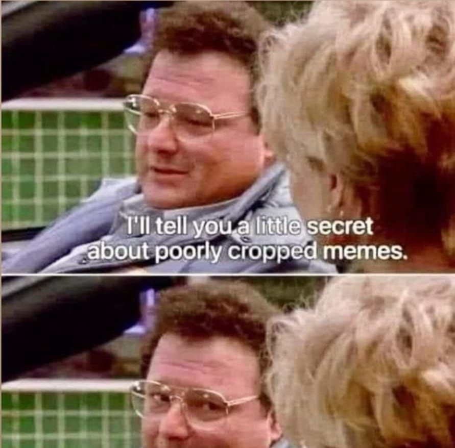 I øverste rute: Bilde av Wayne Knight som spilte Newman i Seindfeld som sitter i en bil med en dame. "I'll tell you a little secret about poorly cropped memes" 
I nederste rute er det et halv bilde av samme motiv, hvor han nå ser på damen.