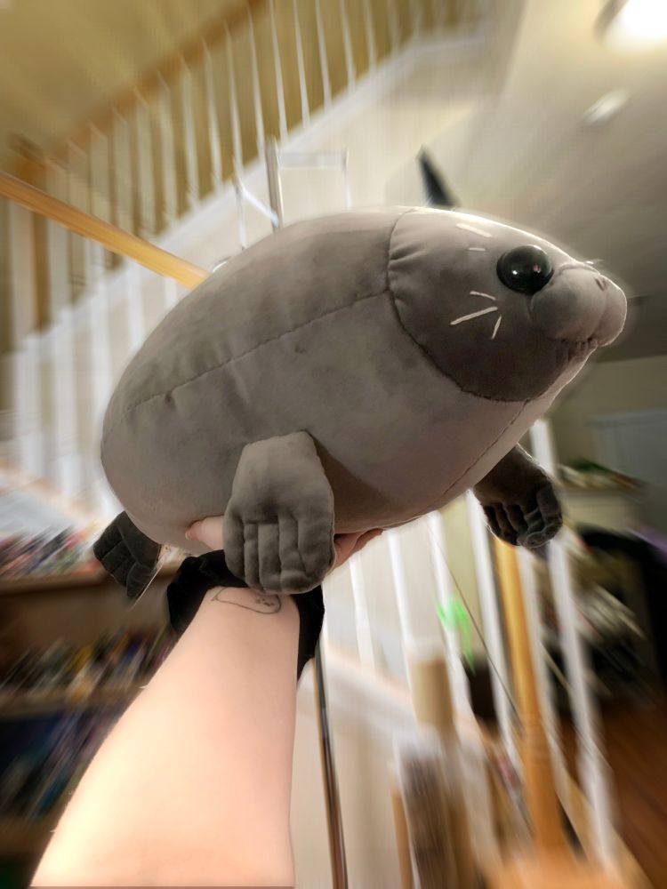 Holding the baikal seal plushie in the air