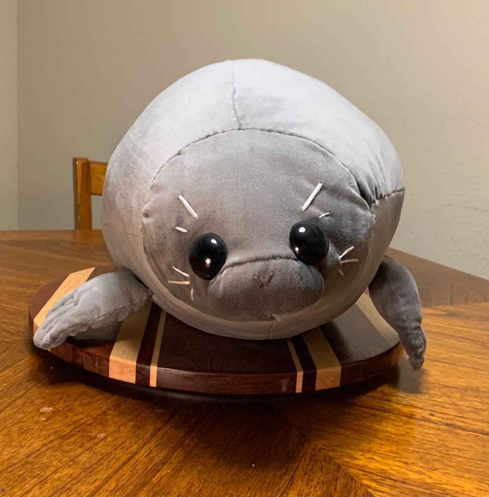 Baikal seal plushie from the front