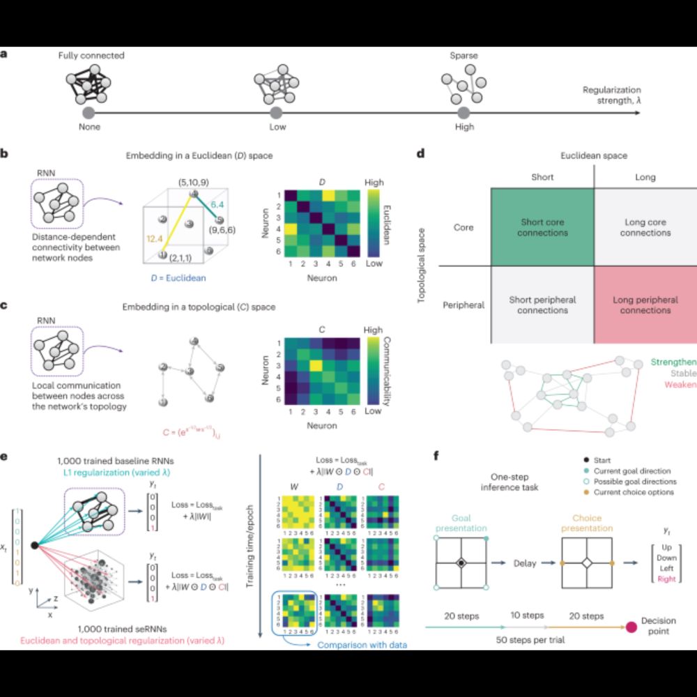 Spatially embedded recurrent neural networks reveal widespread links between structural and function...