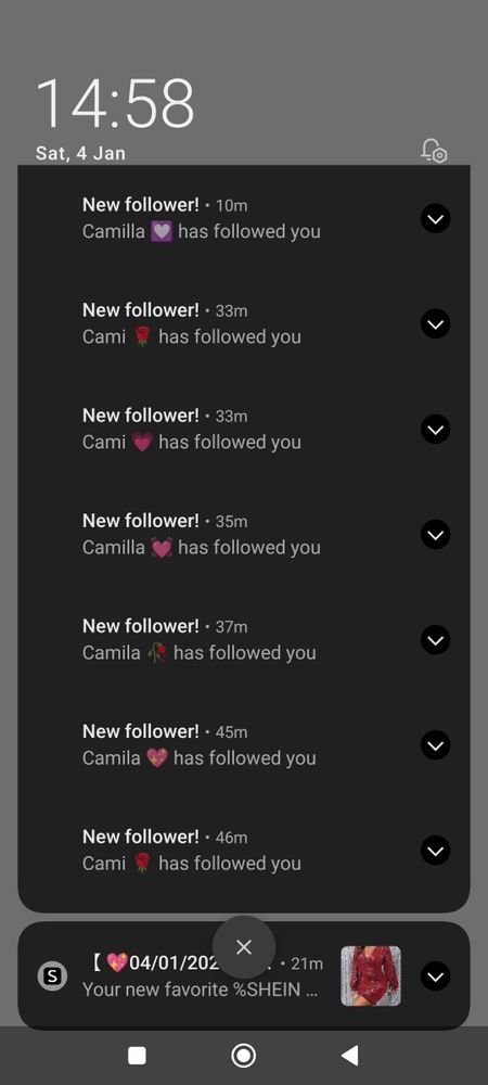 A screenshot of notifications showing 7 new followers, all different variants of Cami