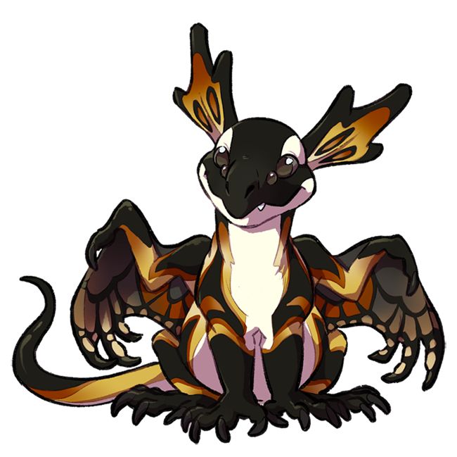 Art of a Mirror dragon hatchling from Flight Rising, a dragon with four eyes and head fins. It is black, white, yellow, and orange in markings resembling butterfly wings and a mixture of an orca and a king penguin. It is sitting like a little puppy and smiling cutely.