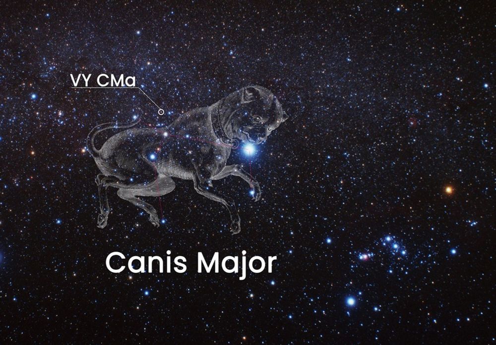 Constellation du grand chien