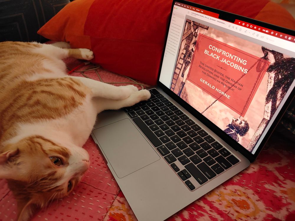 A ginger tabby flops over a laptop showing a PDF of Gerald Horne's 2015 book, "Confronting Black Jacobins". The laptop is propped up against a red and orange pillow on a bed with a pink, yellow, and white bedspread.