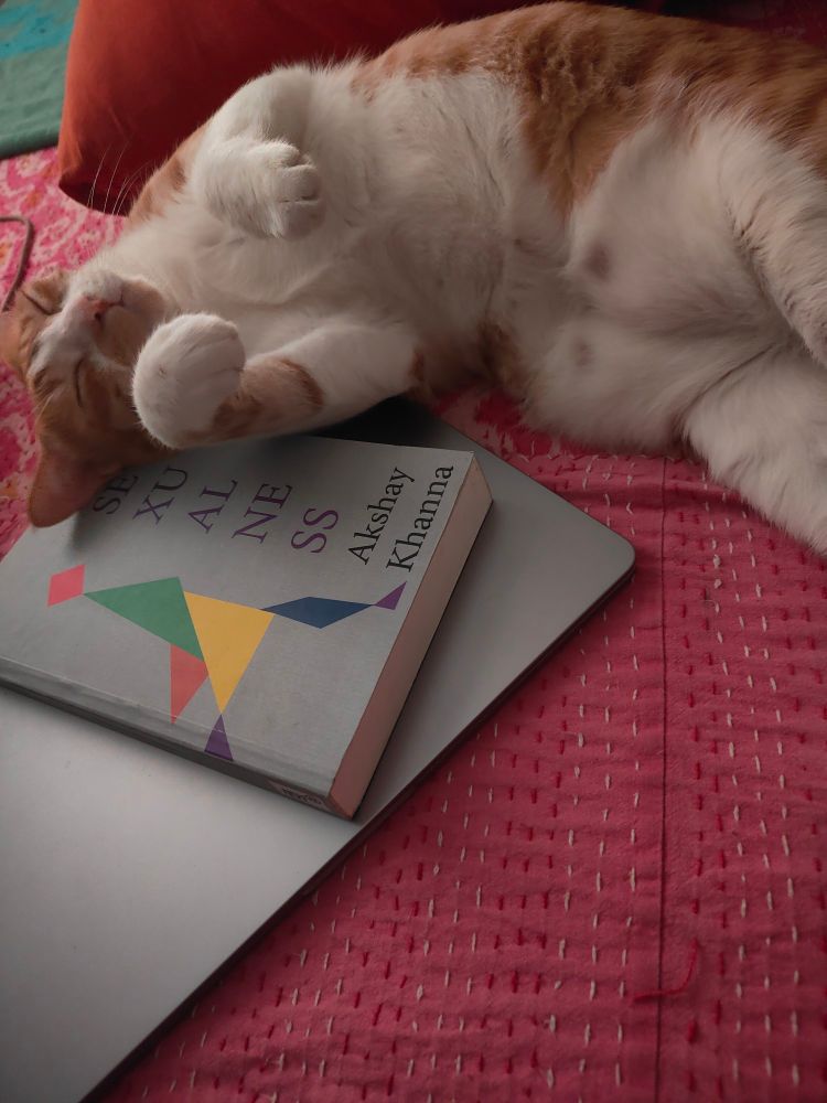 Ginger tabby cat rolls herself on a copy of Sexualness, by Akshay Khanna, on a pink bedspread, next to a laptop