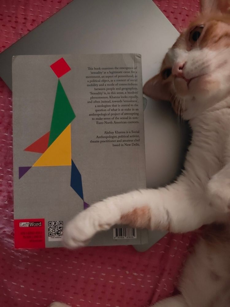 Ginger tabby rolls herself on the back side of the book "Sexualness", by Akshay Khanna, which is on a laptop on top of a pink bedspread 