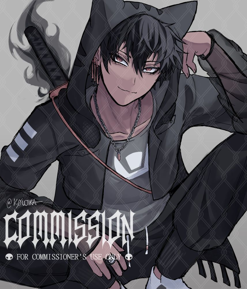 Commission, for commissioner's use only 