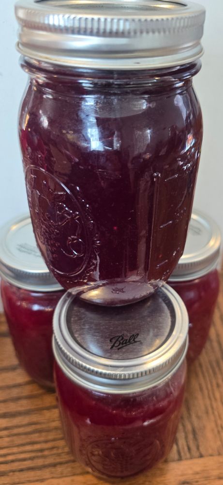 White background on wood-like table. One dark red cranberry sauce in a Ball jar stacked on top of three lighter red sauce jars.
