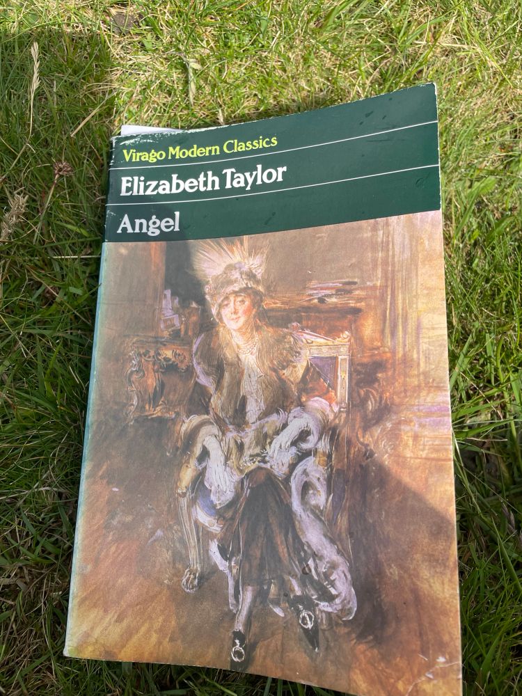The 1984 Virago imprint of Elizabeth Taylor’s Angel lying in a Devonshire field. 
