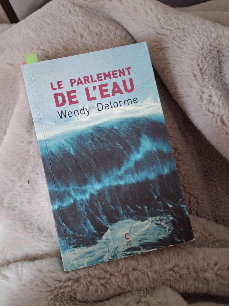 Le roman "Le Parlement de l'eau" de Wendy Delorme