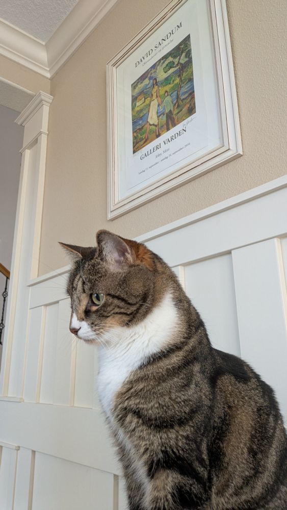 A side profile picture of a tabby cat who is perched on a side table. 