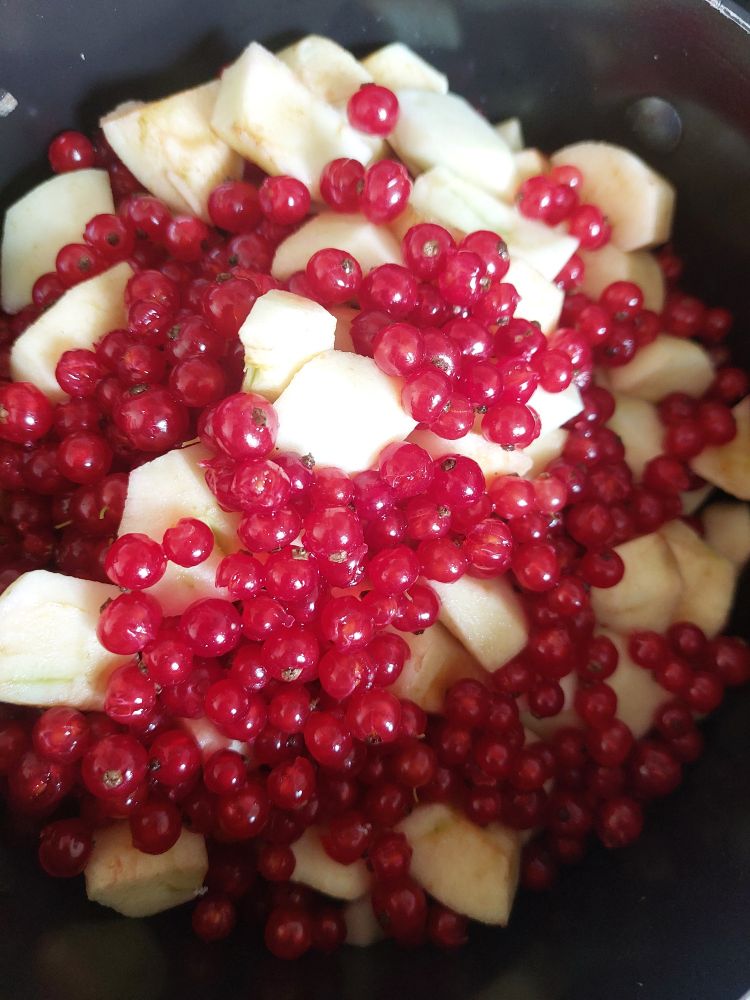 Apfel mit Johannisbeeren 