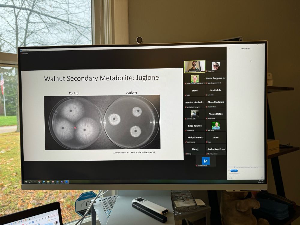 Screenshot of zoom meeting with student presenting