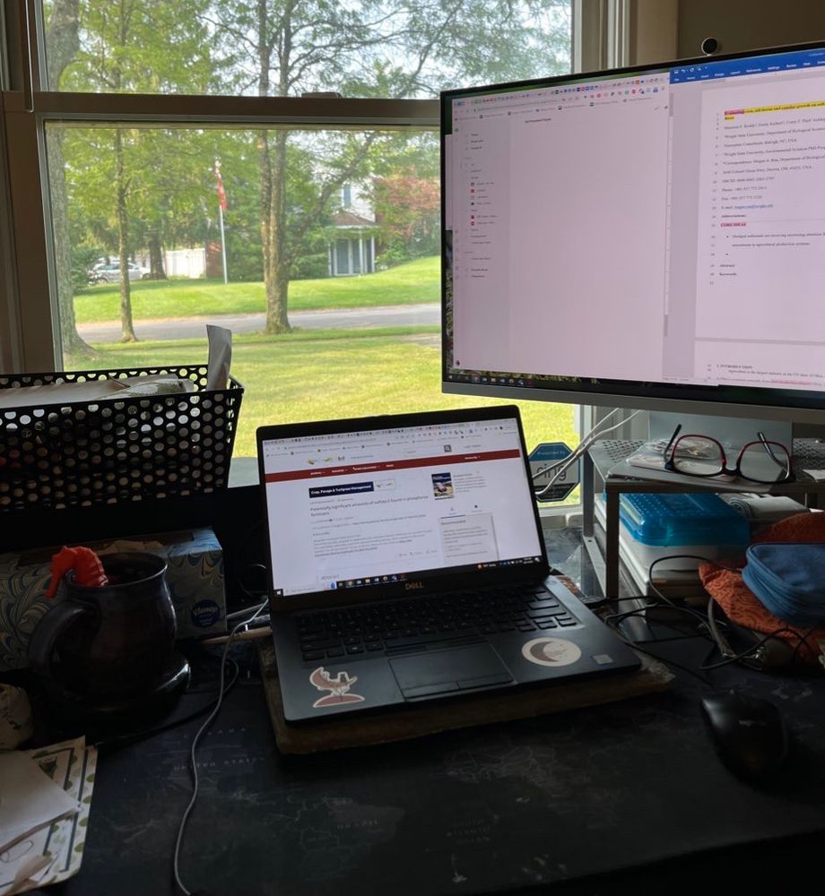 Window view of neighborhood with laptop and external monitor