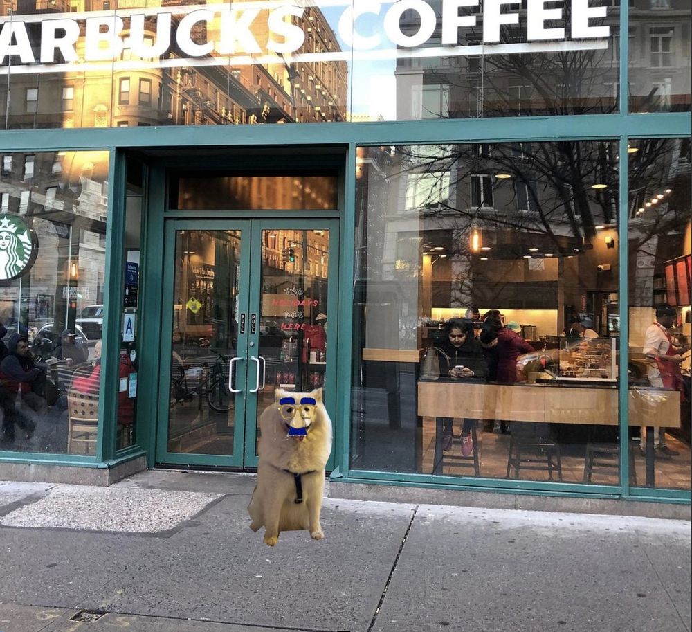 The Law Dog, whom Chadwick calls the "Fraud" Dog, is wearing a classic John F. Kennedy Junior disguise while standing outside an Upper West Side Starbucks. 
