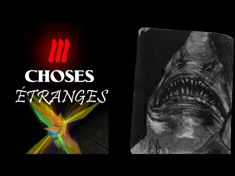 ⬛3 CHOSES ÉTRANGES⬛